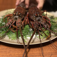 スガラボヴィー - 