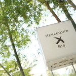 エルルカン・ビス - 