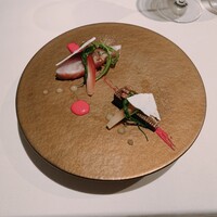 Plaiga TOKYO - 