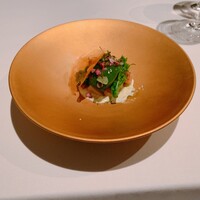 Plaiga TOKYO - 