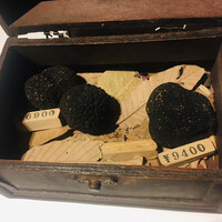 マルゴット エ バッチャーレ - 黒トリュフ