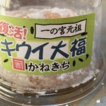 和菓子司 かねきち - キウイ大福