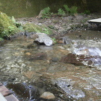 奥貴船 兵衛 - 川床　座席から清流を望む