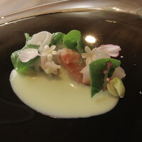 アコルドゥ - 大地と海　移ろう旨味