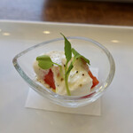 VANNO - ストラッチャチーズとフレッシュトマトのカプレーゼ