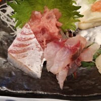 魚竹 - 