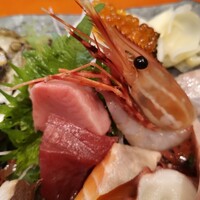 魚竹 - 