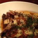 コントワール ミサゴ - カサゴくん顔