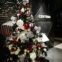 フォルク キッチン オールデイダイニング  - 