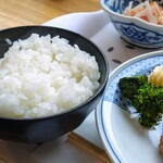 どっこい食堂 - ごはん
