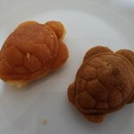 道の駅　紀宝町　ウミガメ公園 - 