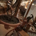 バルバ ビアンカ - 