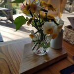 旬菜 野の花亭 - 