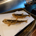 みかわ 是山居 - 鮎