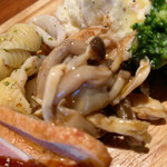 スパッカアルバータ - 