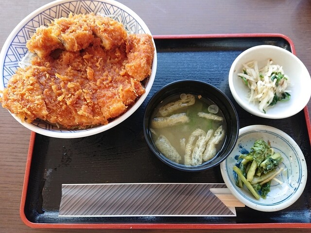 閉店 ソースカツ丼 そば きりの実 駒ヶ根市その他 かつ丼 かつ重 食べログ 閉店 ソースカツ丼 そば きりの実 駒ヶ根市その他 かつ丼 かつ重 食べログ