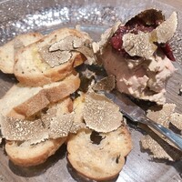 ダルマット 六本木ヒルズ店 - 