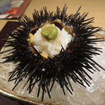 神保町 傳 - 青森の紫雲丹のご飯