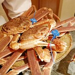 銀座 しのはら - 津居山蟹①