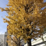 ahill - 六本木通りの紅葉