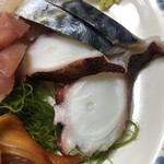 居喰処 光 - 2020/12/13
      本日の日替り 刺身定食 驚愕の500円！