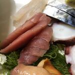 居喰処 光 - 2020/12/13
      本日の日替り 刺身定食 驚愕の500円！