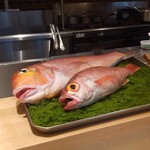 銀座 大石 - 甘鯛