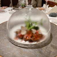 ロドラント ミノルナキジン - 