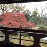 草喰 なかひがし - 色付く紅葉