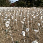 ベラビスタ スパ＆マリーナ 尾道 - 