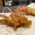 Tempura Kappou Tasaki - 車海老