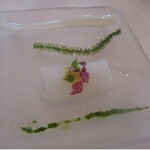 サーラ アマービレ - アオリイカのカルパッチョ