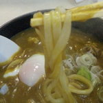 Kanjuku Udon Dokoro Shishiya - こしのある麺です