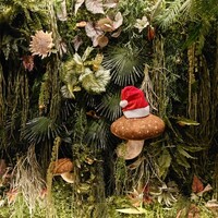 Shangri-La’s secret 表参道店 - 