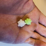 山玄茶 - 金平糖