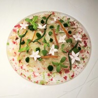 銀座 レカン - 真ふぐのマリネ、水晶文旦と春菊、海藻のジュレ