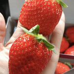 姫路ハートフル観光農園 - 