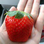 姫路ハートフル観光農園 - 