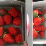 姫路ハートフル観光農園 - 