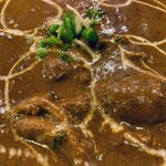 ムガルパレス - チキンカレーのアップ