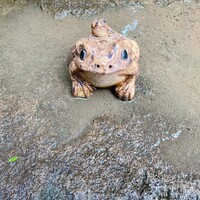 博多料亭 稚加榮 - 