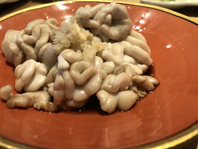 せかい鮨 せかいずし 新潟 寿司 食べログ