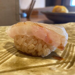 Sushi Shouryuu - 