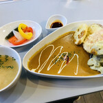 ヨヒラ - 料理写真:野菜天ぷらカレー＝８６０円 税込
