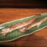 居酒屋 尾留 - 