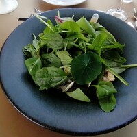 RESTAURANT LUKE with SKY LOUNGE - 