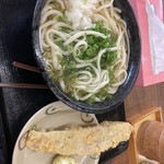 こだわり麺や - かけ大、3玉分ですごい量