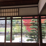 旧近衛邸 - 盛りの紅葉