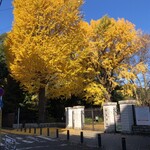 GOOD MORNING CAFE NOWADAYS - 近くの銀杏