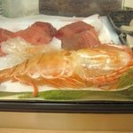 おたる政寿司 - 大ボタン海老